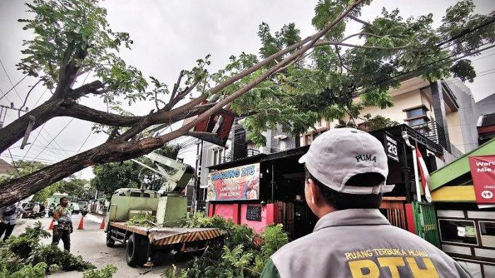 Petugas dari dinas lingkungan hidup kota makassar memotong pohon tumbang yang menutupi badan jalan di Jl Meranti Makassar, Senin (14/12/2020). Pohon tumbang menutupi badan jalan akibat terkena angin kencang disertai hujan mengakibatkan arus lalu-lintas dialihkan sementara. tribun timur/muhammad abdiwan