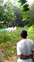 Positif Corona, Tahanan Kasus Penipuan di Polman Meninggal