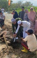 Ina Kartika Kurban di Barru, Ulla di Makassar dan Syahar di Sidrap