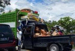 BREAKING NEWS: Truk vs Pick Up di Baebunta Luwu Utara, Indra Tewas
