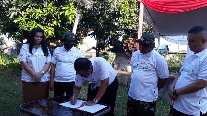 Sebanyak 950 bibit tanaman budidaya ditanam BRI kantor cabang Manado dalam Gerakan BRI menanam