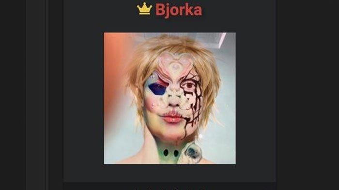 Bjorka, hacker yang membobol data pemerintah Indonesia