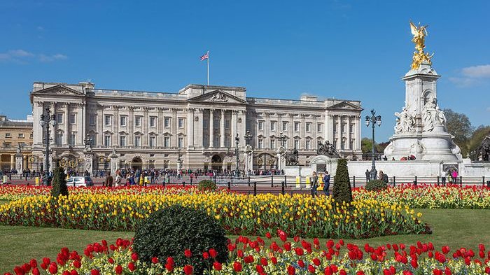Ada seorang profesor yang menjadi tukang kebun di Istana Buckingham.