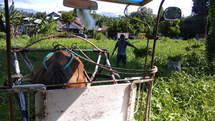 Alvian Noho alias Tu'u (40), salah satu kusir Delman yang masih beroperasi di Kota Manado, Sulawesi Utara.