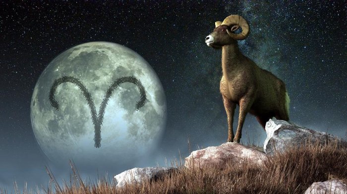 Aries