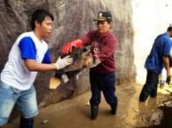 Vicky akan Beri Keterangan Soal Dana Banjir 2014 di Kejagung