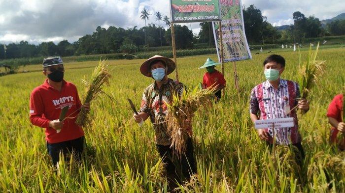 Gubernur Olly Dondokambey Gaungkan Gerakan Mari Jo Bakobong
