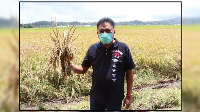 Gubernur Sulut Olly Dondokambey