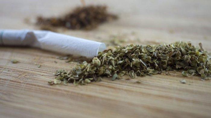 Ilustrasi Ganja