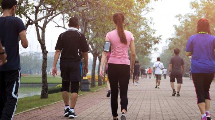 Tentu, mari kita susun artikel informatif tentang manfaat berjalan kaki 10.000 langkah per hari.