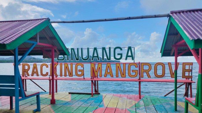 Objek Wisata Tracking Hutan Mangrove
