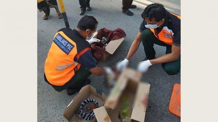 Temukan Bayi Tewas Dijilat Anjing, Nana Mirdad Trauma