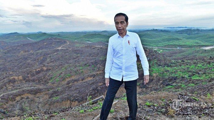 Presiden Joko Widodo didampingi Menteri PUPR Basuki Hadimuljono (kanan) meninjau progres persiapan pembangunan Ibu Kota baru di kawasan Kelurahan Pemaluan, Sepaku, Penajam Paser Utara, Selasa (17/12/2019). Hari ini Presiden Jokowi meresmikan beroperasinya Tol Balikpapan-Samarinda yang akan menjadi jalur penghubung utama menuju Ibu Kota baru RI.
