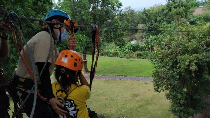 Treetop Zipline Park