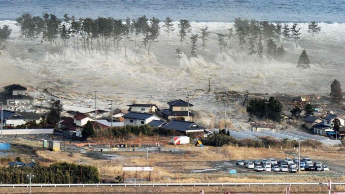 Tsunami Jepang