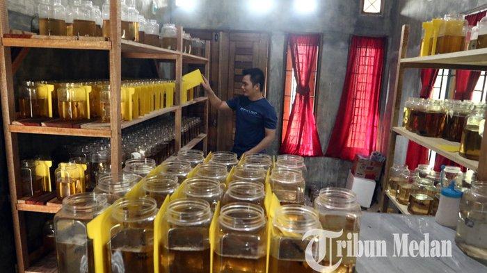 Kevin menyusun ikan cupang hias miliknya hasil budidaya di kediamannya, Binjai, Minggu (14/3/2021). Budidaya berbagai jenis ikan cupang hias di tempat tersebut mengalami peningkatan penjualan di saat pandemi Covid-19, dengan harga jual Rp 100 ribu hingga jutaan rupiah per ekor.