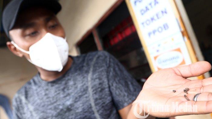 Warga menunjukkan ulat yang menyerang pemukiman di Jalan Irian Barat, Gang Tawon, Deliserdang, Kamis (25/3/2021). Ribuan hama ulat tersebut menyerang sejumlah rumah, sehingga sangat menganggu kenyaman warga.