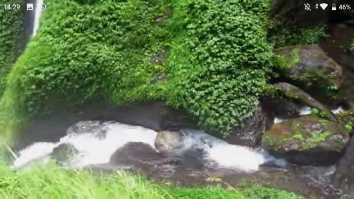 AIR terjun Jodoh Pamah Semelir yang berada di Dusun Pamah Semelir, Desa Telagah, Kecamatan Sei Bingai, Kabupaten Langkat.