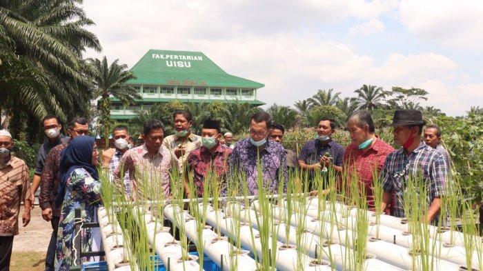 URBAN FARMING: Dekan Fakultas Pertanian UISU Dr. Ir. Murni Sari Rahayu, MP tengah menjelaskan konsep urban farming tanaman padi yang dipadukan dengan kolam nila di lokasi ekowisata Fakultas Pertanian UISU kemarin (14/11).