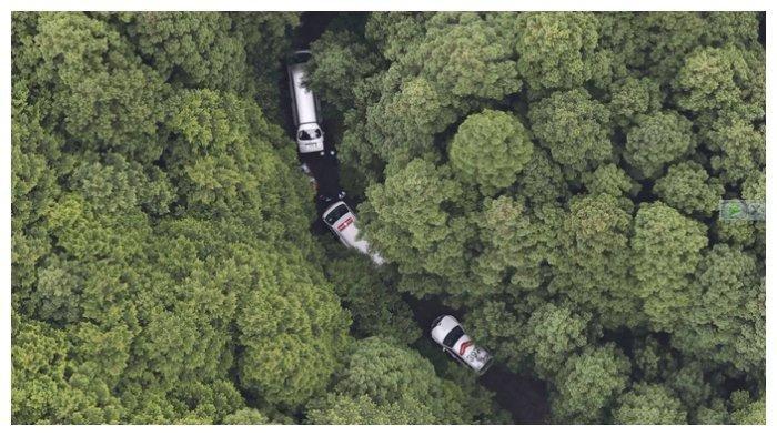 Hutan tempat jenazah Rina Arano ditemukan