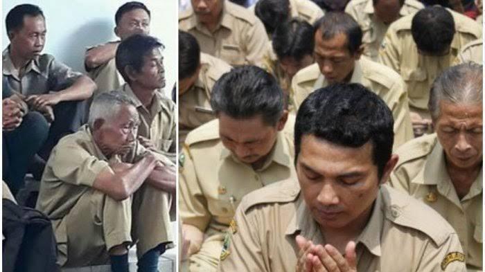 Ilustrasi honorer dan PNS.