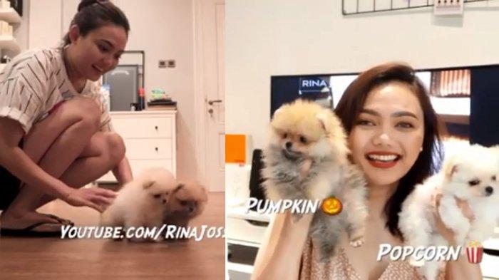 Rina Nose dan anjing peliharaannya