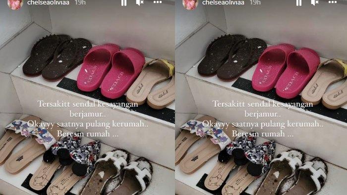 Sandal mahal Chelsea Olivia berjamur