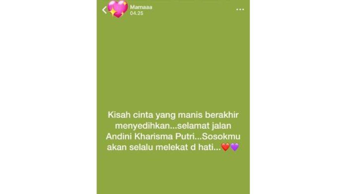 Status WA Ibu-ibu yang galau Andin diceritakan meninggal di Ikatan Cinta