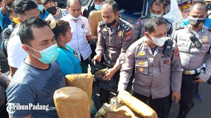 Jajaran Polresta Padang dalam hal ini Satlantas Polresta Padang berhasil mengamankan puluhan bungkus besar narkoba diduga jenis ganja, Rabu (10/2/2021).