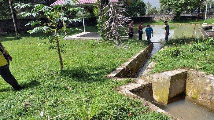 Kondisi kolam pemijahan dan pembiakan ikan bilih di PT Semen Padang dalam wilayah Kota Padang, Provinsi Sumatera Barat (Sumbar). Foto diambil baru-baru ini.