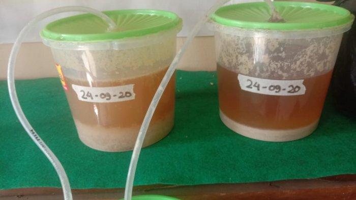 Eco Enzyme dapat menjadi salah satu jawaban sebagai upaya menuju pertanian lebih ramah lingkungan sesuai dengan harapan BPPSDMP.