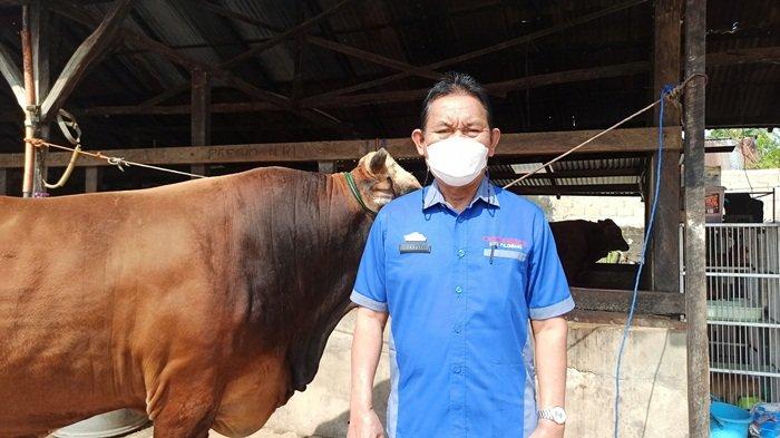 Kepala Dinas DPKP Kota Palembang Ir Sayuti MM berfoto dengan salah satu sapi yang layak dikurbankan.