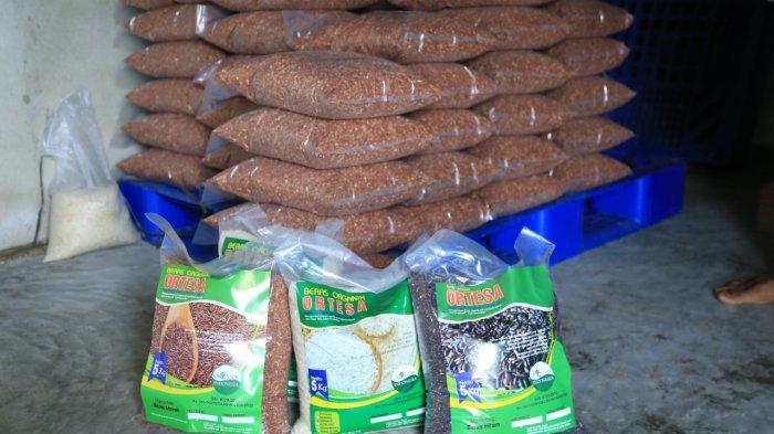 Produk Unggulan Kawasan Perdesaan Agropolitan Kabupaten OKU Timur