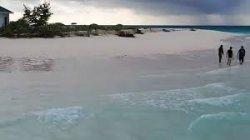 Pulau Berpasir Putih dan Tempat Penyu Bertelur Itu Diduga Dijual dengan Harga Rp 900 juta