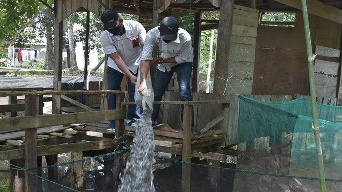 Sebagai salah satu bentuk kepedulian PT Pusri Palembang terhadap kesejahteraan warga di lingkungan sekitar perusahaan, Pusri memberikan sebanyak 10.000 (sepuluh ribu) bibit ikan lele pada Rabu (17/02/2021).