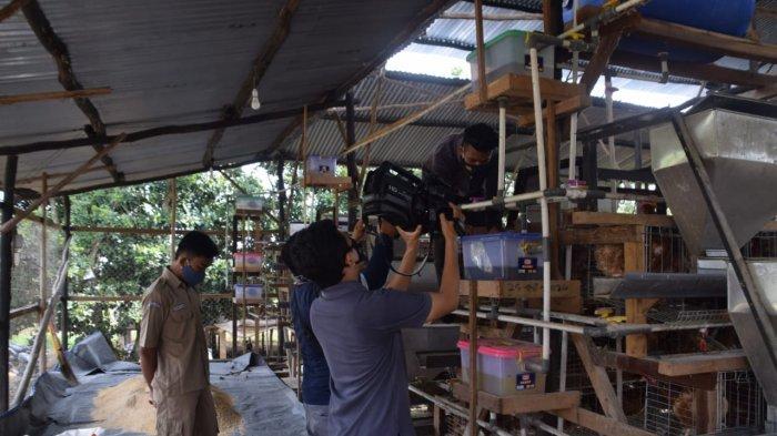 Tim liputan zona tani Televisi Republik Indonesia (TVRI) stasiun Sumatera Selatan, Palembang berkunjung ke SMK PP Negeri Sembawa untuk melaksanakan liputan tentang teaching factory (Tefa) yang ada di SMK PP Negeri Sembawa, Sabtu (20/11/2020)