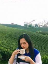 Bertandang ke Kebun Teh Cikuya, Teh Terbaik di Dunia, Bisa Berswafoto dan Cicipi Teh Disini
