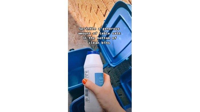 Saat menaburkan garam, @sisterpledgecleans menjelaskan jika garam memiliki manfaat menyerap cairan serta membunuh belatung yang memakannya.