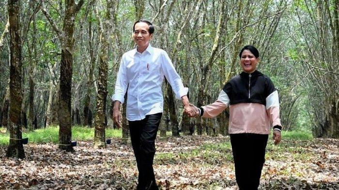 Presiden Jokowi dan Iriana saat bergandengan tangan di kebun karet di Sumatra Selatan
