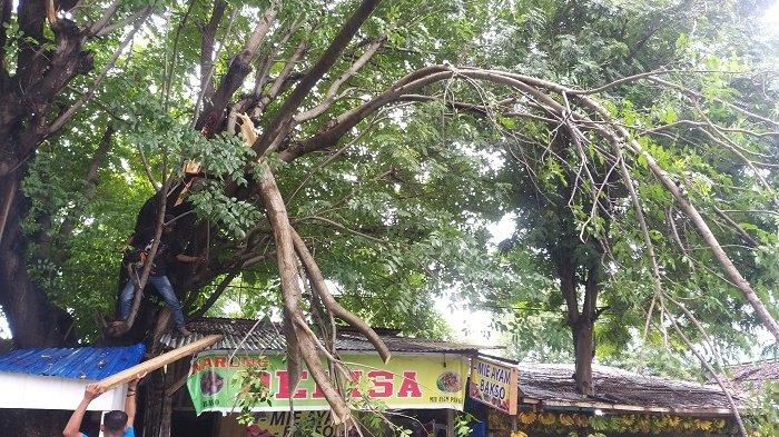 Dahan pohon patah dan menimpa atap warung milik warga setelah hujan dan angin kencang di Kota Palu, Selasa (6/4/2021) pagi.