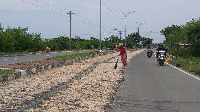Masyarakat nelayan di pesisir Kota Tegal menjemur rebon di Jalan Lingkar Utara (Jalingkut) penghubung Tegal - Brebes yang belum diresmikan, Kamis (4/3/2021).