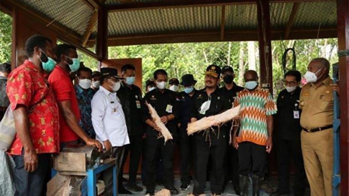 Menteri Pertanian Syahrul Yasin Limpo mendorong lahan hutan sagu di Papua Barat menjadi kawasan agrowisata.