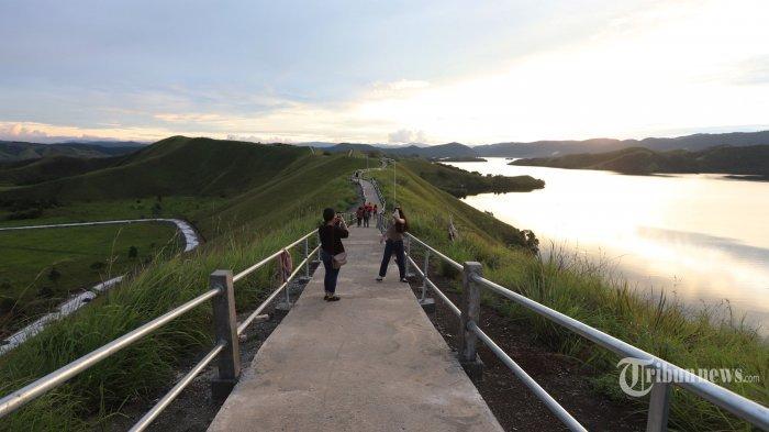 Pemandangan Bukit Teletubbies yang menjadi salah satu destinasi wisata di Kabupaten Jayapura, Papua, Kamis (7/10/2021). Bukit Teletubbies menawarkan keindahan Danau Sentani dan alam di sekitar bukit, Untuk sampai ke sana dari Bandara Sentani memakan waktu sekitar 20 menit sedangkan kalau dari Kota Jayapura membutuhkan waktu sekitar 1 jam 40 menit.