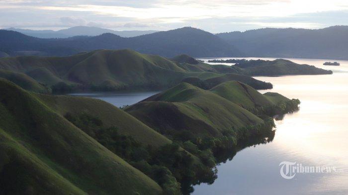 Pemandangan Bukit Teletubbies yang menjadi salah satu destinasi wisata di Kabupaten Jayapura, Papua, Kamis (7/10/2021). Bukit Teletubbies menawarkan keindahan Danau Sentani dan alam di sekitar bukit, Untuk sampai ke sana dari Bandara Sentani memakan waktu sekitar 20 menit sedangkan kalau dari Kota Jayapura membutuhkan waktu sekitar 1 jam 40 menit.