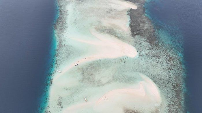 Potret Pulau Pasir Timbul Raja Ampat, Sorong, Papua Barat, dari udara, Minggu (3/3/2022). Pulau ini muncul saat air lait surut, sehari tiga kali selama 30 menit.
