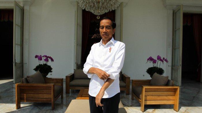 Presiden Joko Widodo berfoto seusai melakukan sesi wawancara bersama Tribunnews.com di Istana Negara, Jakarta, Kamis (18/7/2019). Dalam kesempatan tersebut Presiden Jokowi memaparkan mengenai visi pemerintahannya dalam 5 tahun ke depan kepada tim Tribunnews.com.