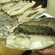 Gaji Kurang, Petugas Kebersihan Nyambi Jadi Pengedar Ganja