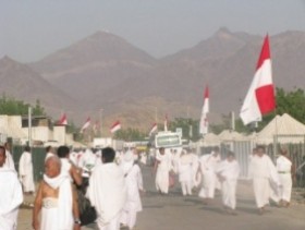 Jamaah Haji Indonesia Dijambret Monyet di Jabal Nur