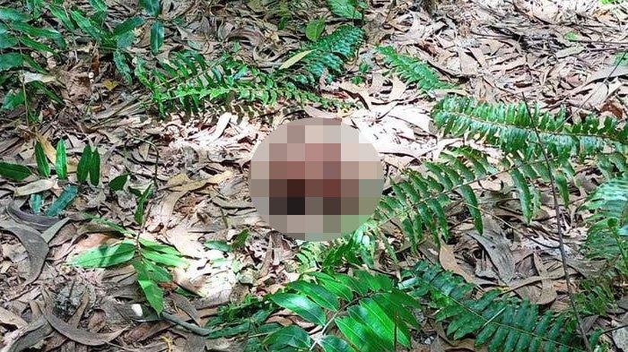 Kapolres Siak AKBP Gunar Rahadyanto memastikan remaja yang tewas di Sungai Belat, Kampung Teluk Lanus, Kecamatan Sungai Apit, Kabupaten Siak benar diterkam harimau sumatera (Panthera Tigris Sumatrae). Kepastian itu disampaikannya berdasarkan olah TKP yang dilakukan pada Senin (30/8/2021) kemarin. FOTO: Penemuan bagian tubuh korban yang tewas diduga dimangsa Harimau di sungai Belat, menguatkan bahwa korban memang dimangsa harimau.