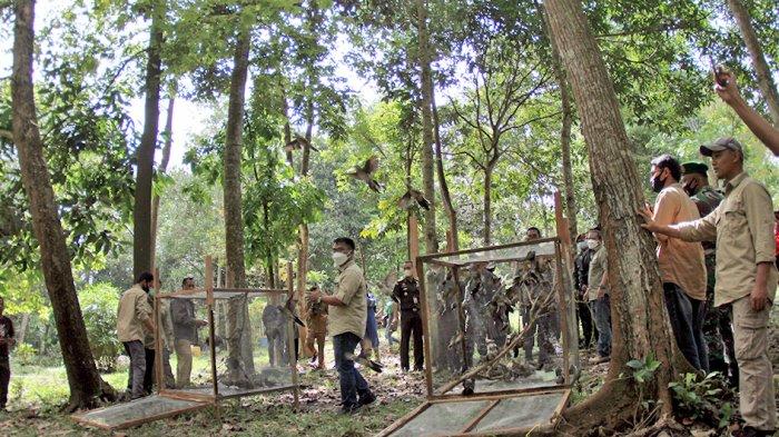 Balai Besar Konservasi Sumber Daya Alam Riau bekerja sama dengan Fauna & Flora International Indonesian Programme menggelar Deklarasi Penyelamatan Taman Wisata Alam (TWA) Sungai Dumai, Selasa (16/3/2021).